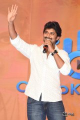 Sailaja Reddy Alludu Movie Pre Release Event Photos